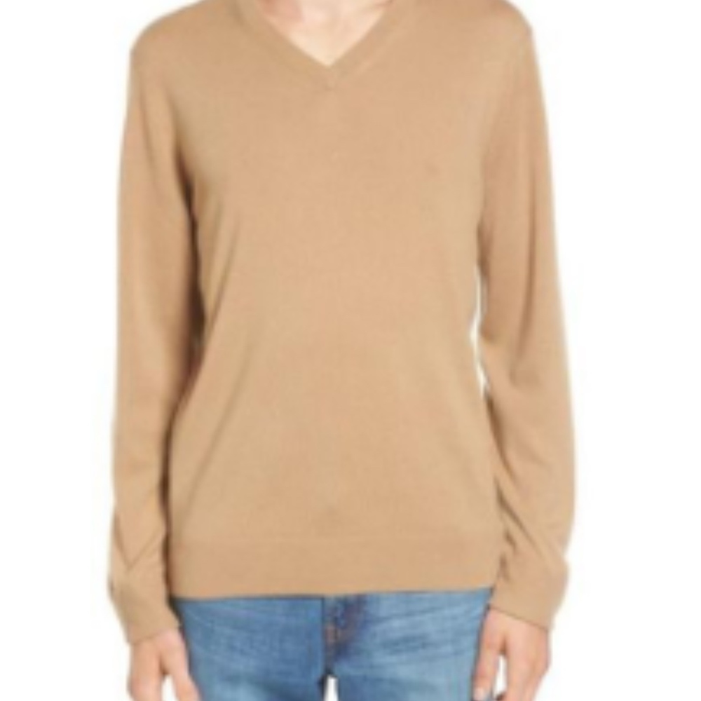 Everlane Men's Cashmere V Neck Sweater Medium